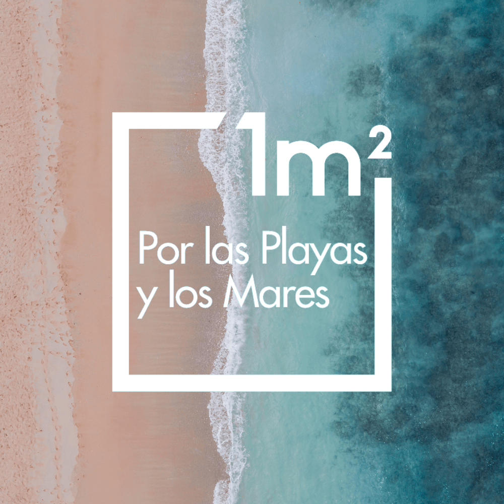 Proyecto Libera